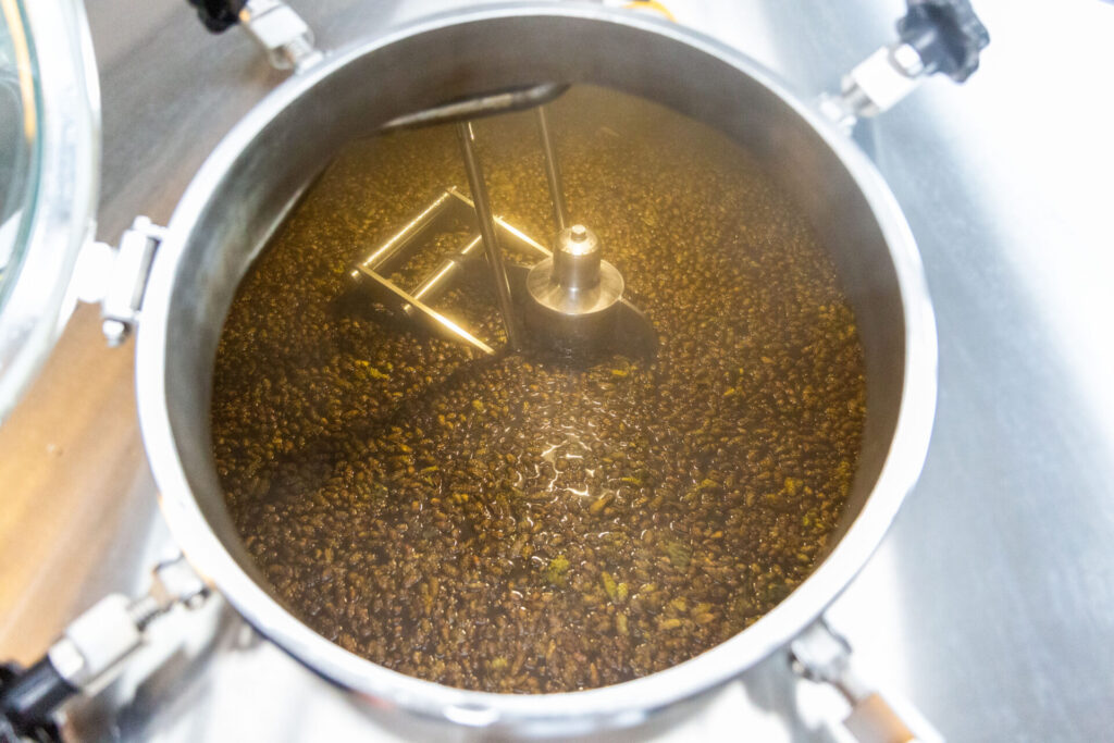 The 2023 Hop Harvest in the lauter tun